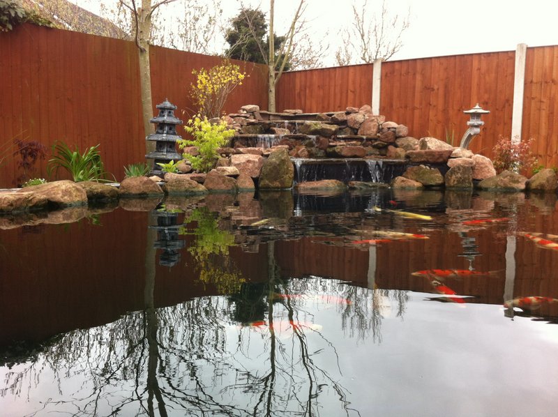 Beautifully finished koi pond